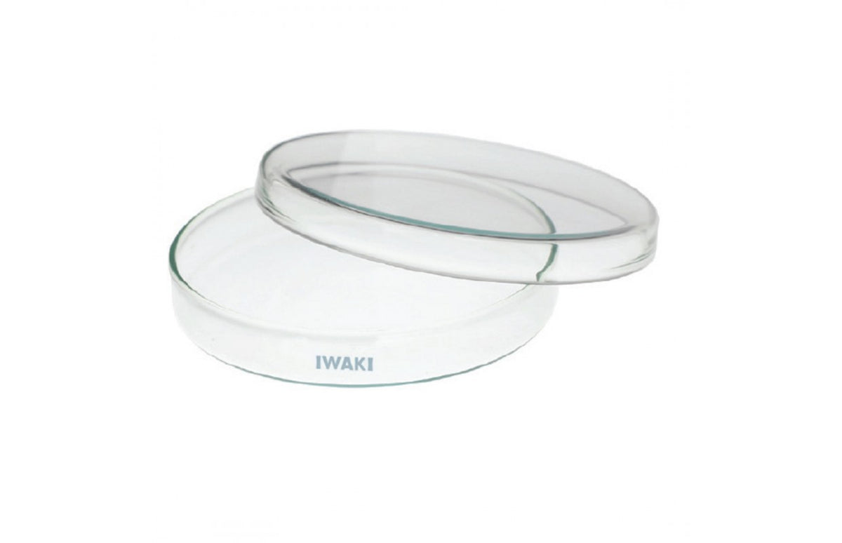 Normax Petri Dish Soda Lime Glass PA 50585