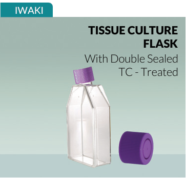 Tissue Culture Flask, Treated, 3100-025 Iwaki