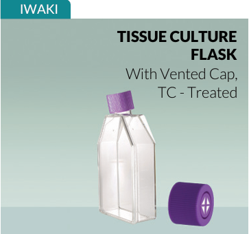 Tissue Culture Flask, Treated, vented cap 3103-025 Iwaki