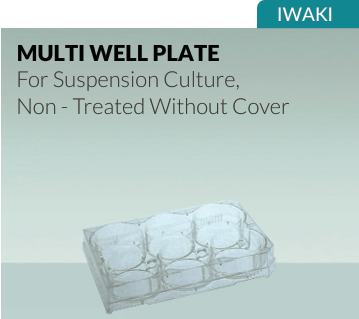 Multi Well Plate, w/o cover, Non-Treated, flat bottom 1810-006 Iwaki