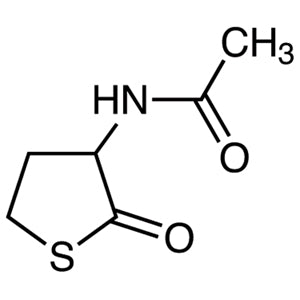 1195-16-0 3-Acetamidotetrahydro-2-thiophenone - AMI Scientific