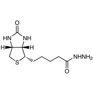 TCI B2431 66640-86-6 Biotin Hydrazide