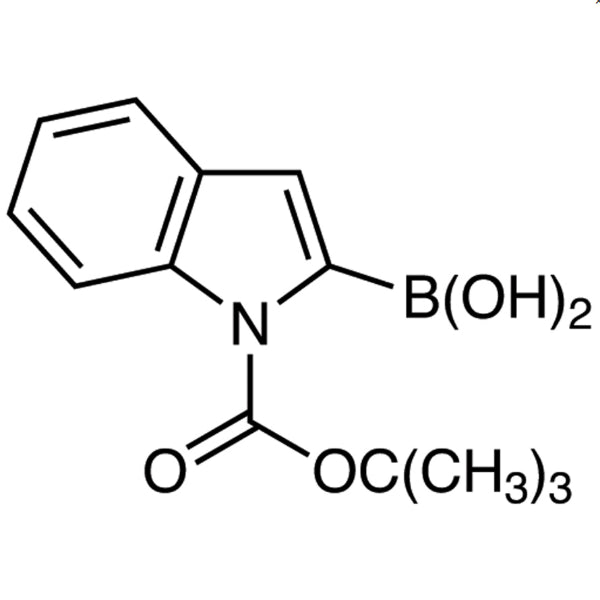 213318-44-6 1-(tert-Butoxycarbonyl)indole-2-boronic Acid (contains varying amounts of Anhydride) - AMI Scientific