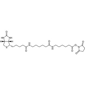 TCI B6096-1SET 89889-52-1 Biotin-LC-LC-NHS (2mg*5)