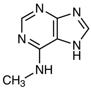 443-72-1 N-Methyl-7H-purin-6-amine - AMI Scientific