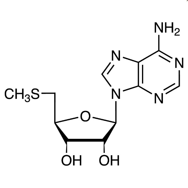 TCI M3801 2457-80-9 5'-Deoxy-5'-methylthioadenosine