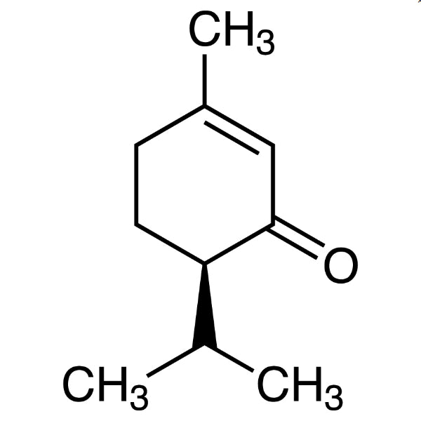 TCI P1783 4573-50-6 (R)-(-)-Piperiton