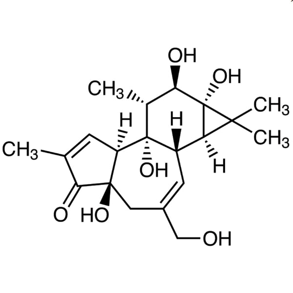 TCI P2732 17673-25-5 Phorbol