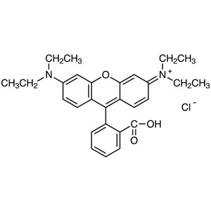 TCI R0040 81-88-9 Rhodamine B