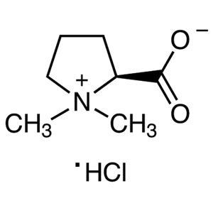 4136-37-2 Stachydrine Hydrochloride - AMI Scientific