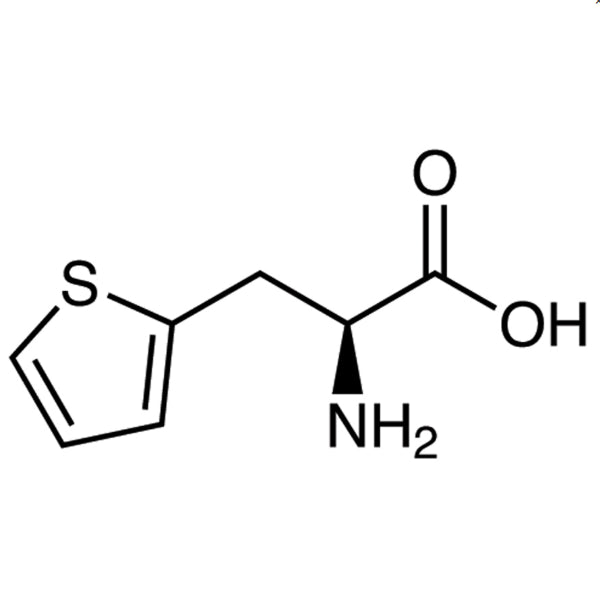 TCI T3475 22951-96-8 3-(2-Tienil)-L-alanin