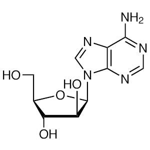 TCI V0175 5536-17-4 Vidarabine