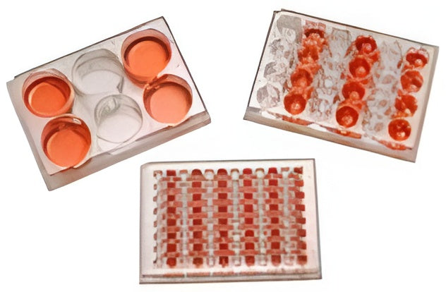 BIOLOGIX Multi well Culture Plate,PS,12 wells, TC Treated, with lid, flat-bottom, Sterile