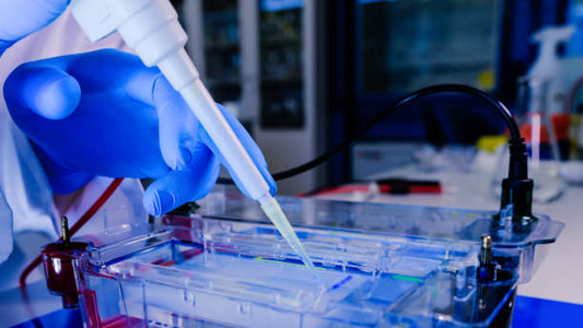 DL-Dithiothreitol (DTT) - Reagen yang Cenderung Stabil dan Bisa untuk Studi Elektroforesis