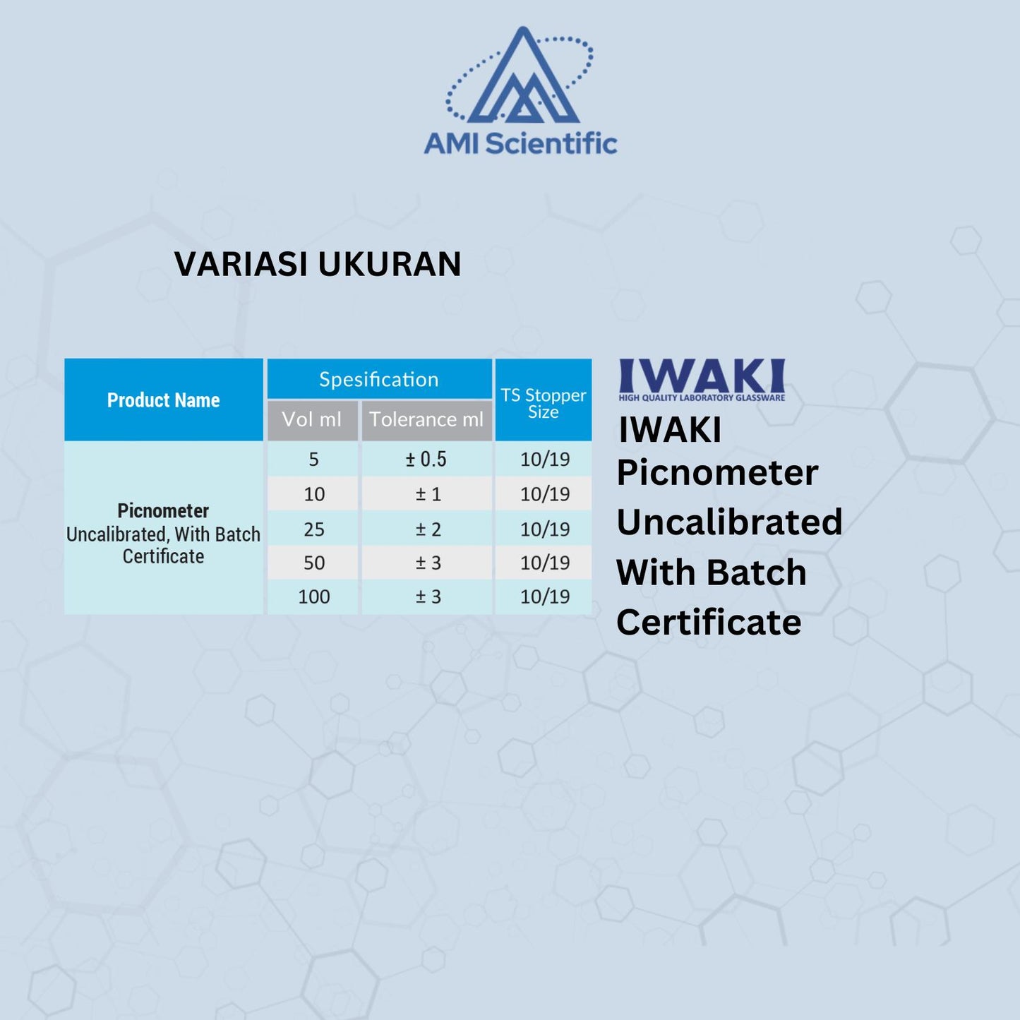 IWAKI picnometer uncalibrated 5-100ml