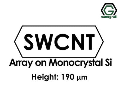 Single Walled Carbon Nanotubes Array on Monocrystal Silicon