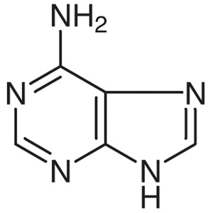 73-24-5 Adenine - AMI Scientific