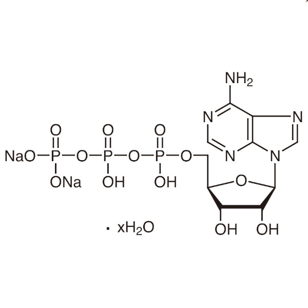 TCI A0157 34369-07-8 Adenosin 5'-Trifosfat Dinatrium Garam Hidrat