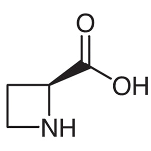 TCI A1043-100MG 2133-34-8 L-Azetidine-2-carboxylic Acid [Antagonist of L-Proline]