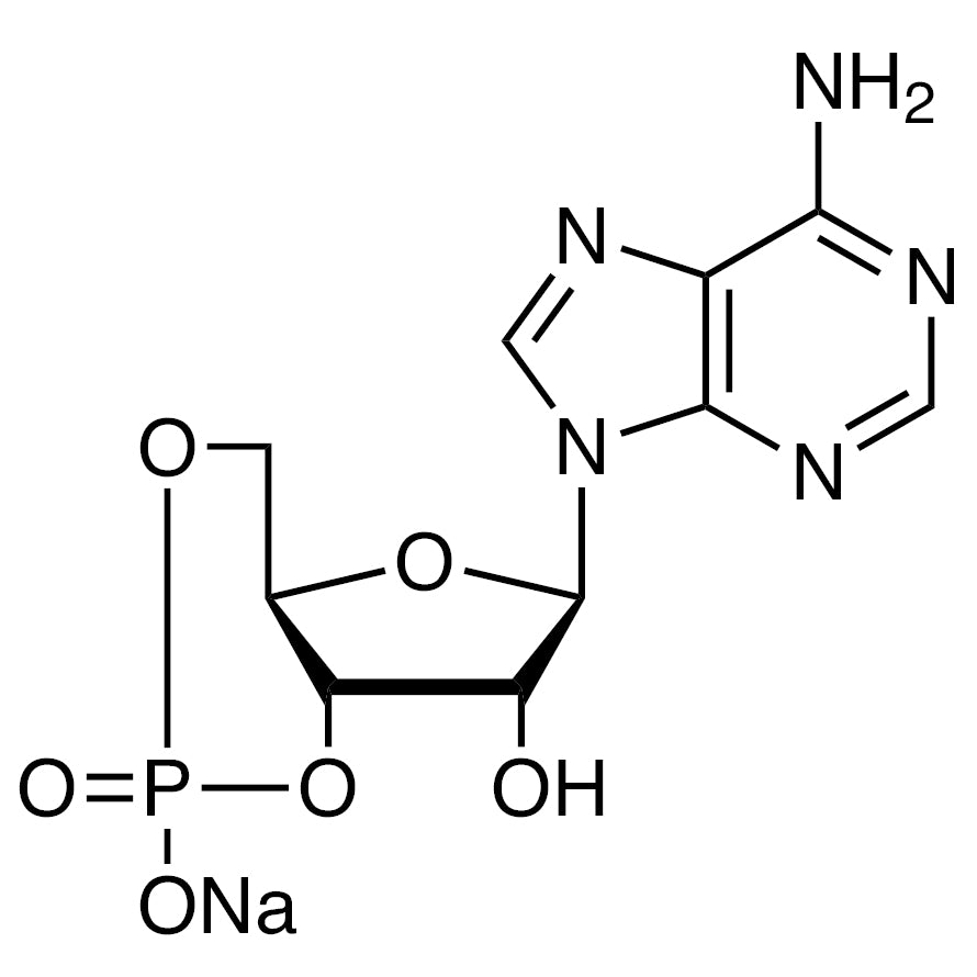 TCI A2112-100MG 37839-81-9 Garam Natrium Adenosin 3',5'-Siklik Monofosfat