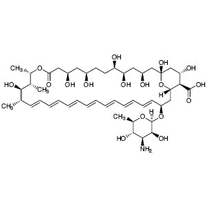 TCI A2114 1397-89-3 Amphotericin B