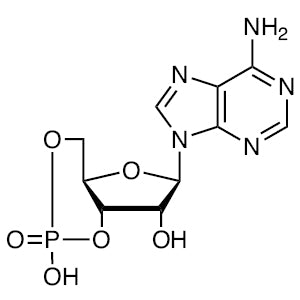 TCI A2381 60-92-4 Adenosine 3',5'-Cyclic Monophosphate