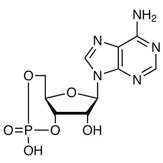 TCI A2381 60-92-4 Adenosine 3',5'-Cyclic Monophosphate