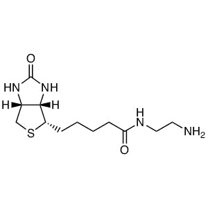 TCI A3131 111790-37-5 N-(2-Aminoethyl)biotinamide