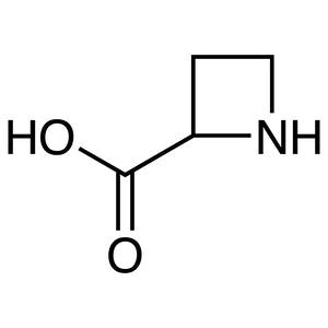 TCI A3562 2517-04-6 Azetidine-2-carboxylic Acid