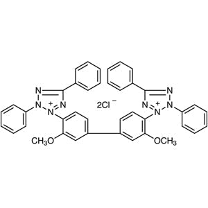 1871-22-3 Blue Tetrazolium [for Biochemical Research] - AMI Scientific