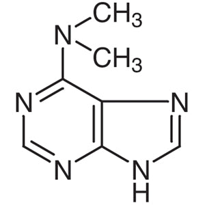 6-(Dimethylamino)purine (CAS 938-55-6) - TCI D3894 - AMI Scientific