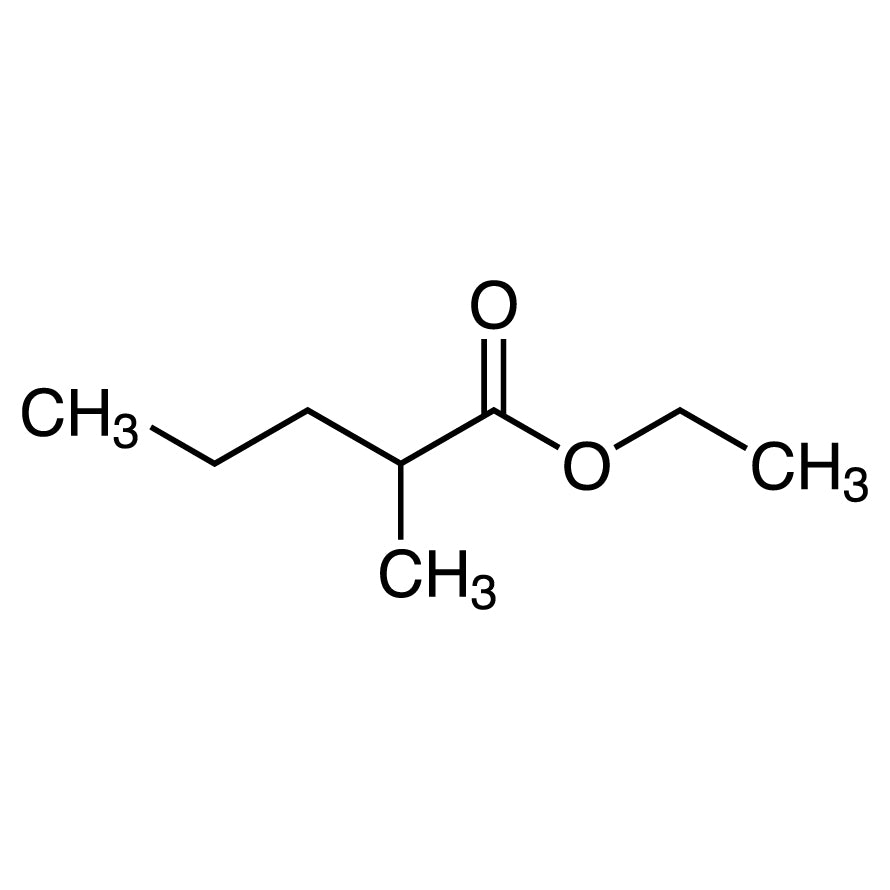 TCI E0801 39255-32-8 Ethyl 2-Methylvalerate