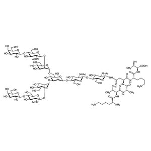 TCI G0466 361443-81-4 G2-peptida