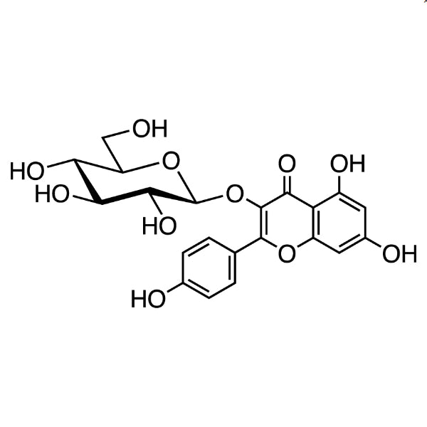 TCI K0079 480-10-4 Kaempferol 3-Glukosida
