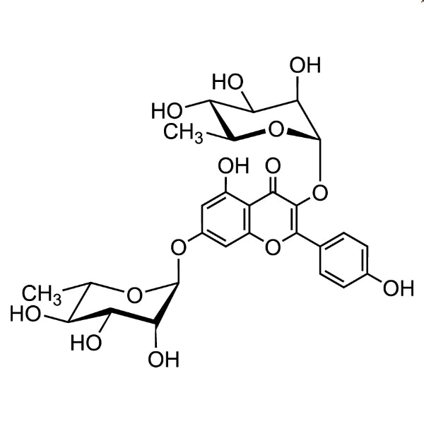 TCI K0082 482-38-2 Kaempferitrin