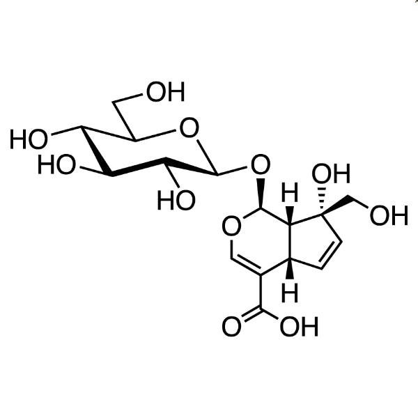 TCI M3609 5945-50-6 Monotropein