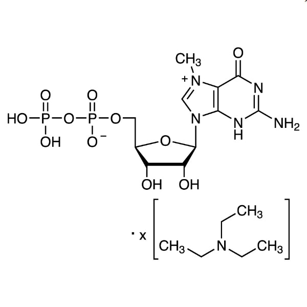 TCI M3631 240137-50-2 7-Methylguanosine 5'-(Trihydrogen Diphosphate) Triethylamine Salt