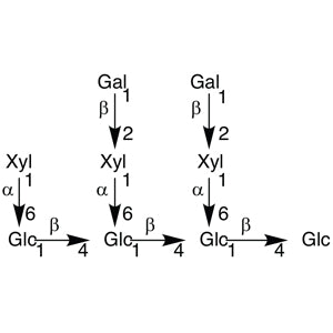 TCI N0693 129865-06-1 Nonasaccharide Glc4Xyl3Gal2