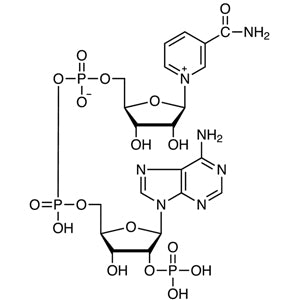TCI N0943 53-59-8 beta-Nicotinamide Adenine Dinucleotide Phosphate [for Biochemical Research]