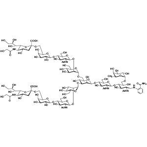 TCI N1183-1VIAL Neu5Gc alpha(2-6) core 6-Fucosylated N-Glycan 2AB (500pmol/vial)