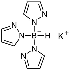 TCI P1440 18583-60-3 Kalium Tris(1-pirazolil)borohidrida
