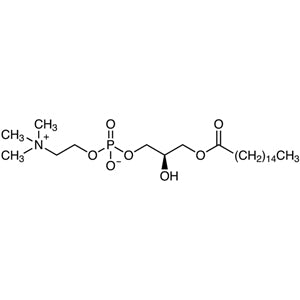 TCI P2694 17364-16-8 1-Palmitoyl-sn-glisero-3-fosfokolin