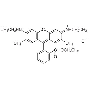 TCI R0039 989-38-8 Rhodamine 6G