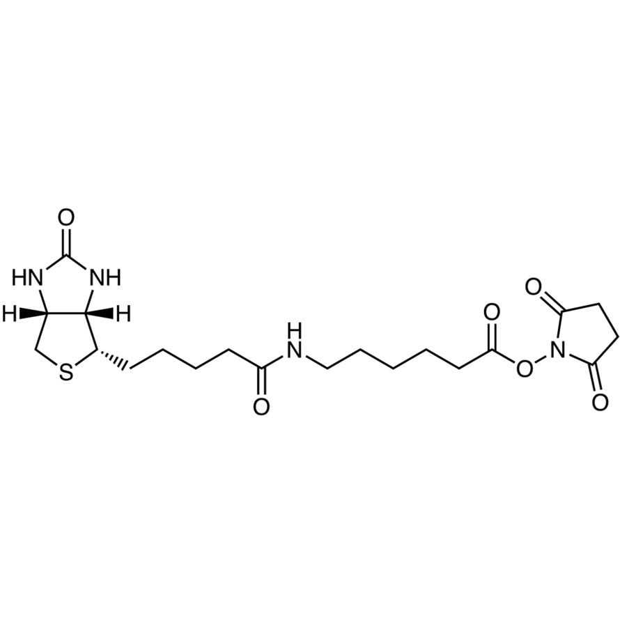 TCI S0490 72040-63-2 N-Succinimidyl 6-Biotinamidohexanoate