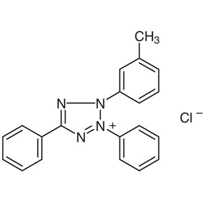 88159-25-5 m-Tolyltetrazolium Red - AMI Scientific