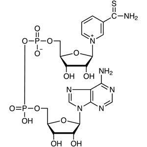 TCI T2979 4090-29-3 Thionicotinamide Adenine Dinucleotide oxidized form [for Biochemical Research]