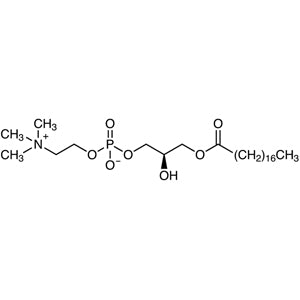19420-57-6 1-Stearoyl-sn-glycero-3-phosphocholine - AMI Scientific