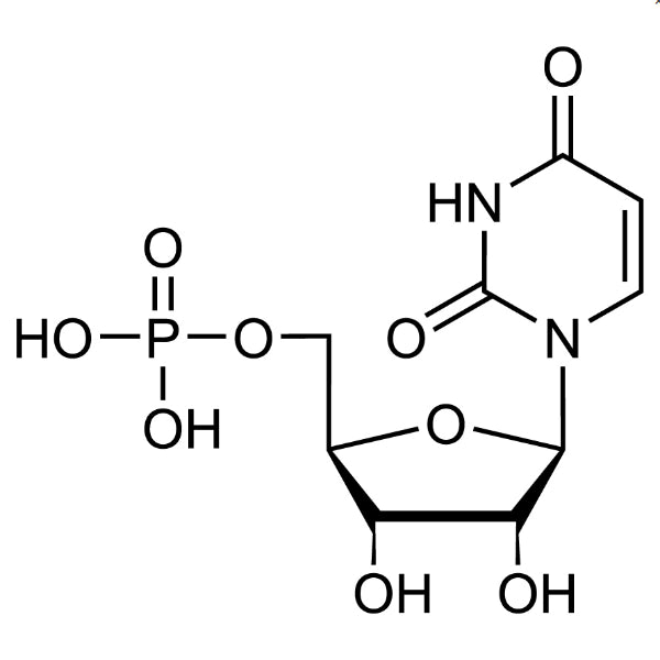 TCI U0078 58-97-9 Uridine 5'-Monophosphate