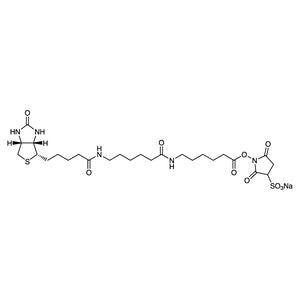 TCI U0106 194041-66-2 Sulfo-NHS-LC-LC-Biotin
