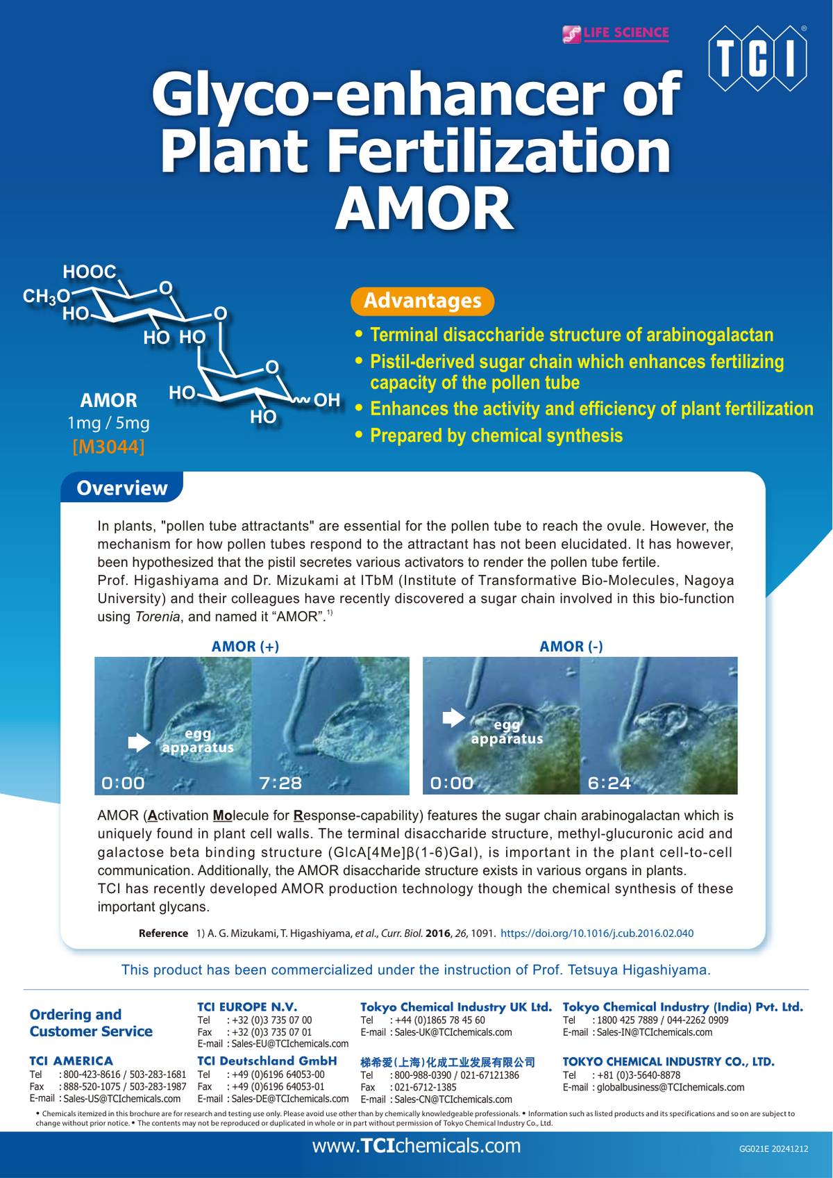 AMOR - brosur TCI: Glyco-enhancer of Plant Fertilization AMOR